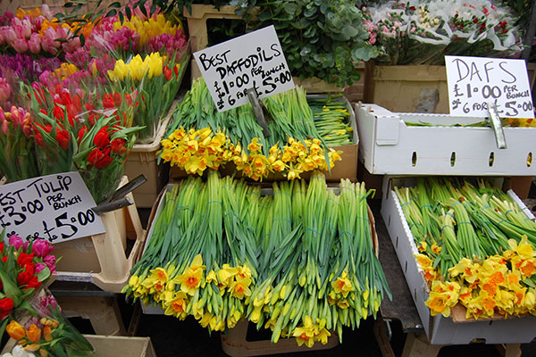 Flower stall with daffodils and tulips